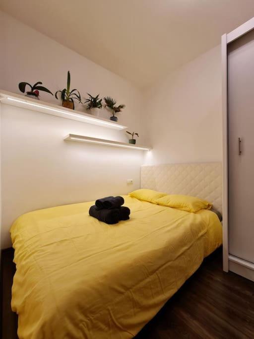 Nowe Miasto 40 Rzeszow Ngoại thất bức ảnh